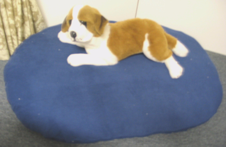 Picture of Oval Shaped Pet Bed