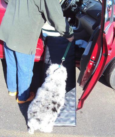 Picture of Pet Ramp- For Car (Please Provide Paper Template)