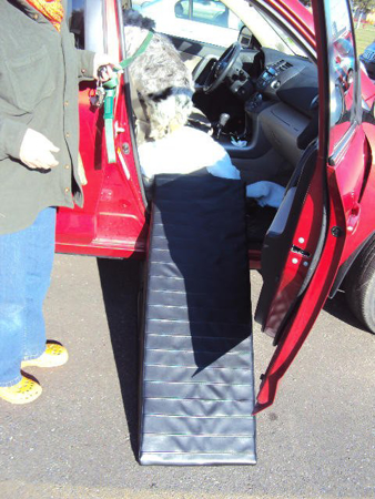 Picture of Pet Ramp- For Car (Please Provide Paper Template)