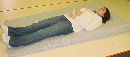 Picture of Full Body Wedge-70" Long