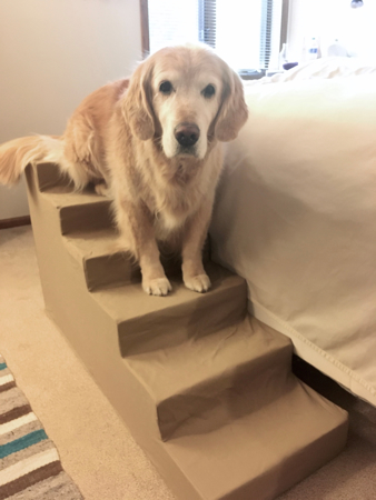 Picture of Pet Staircase