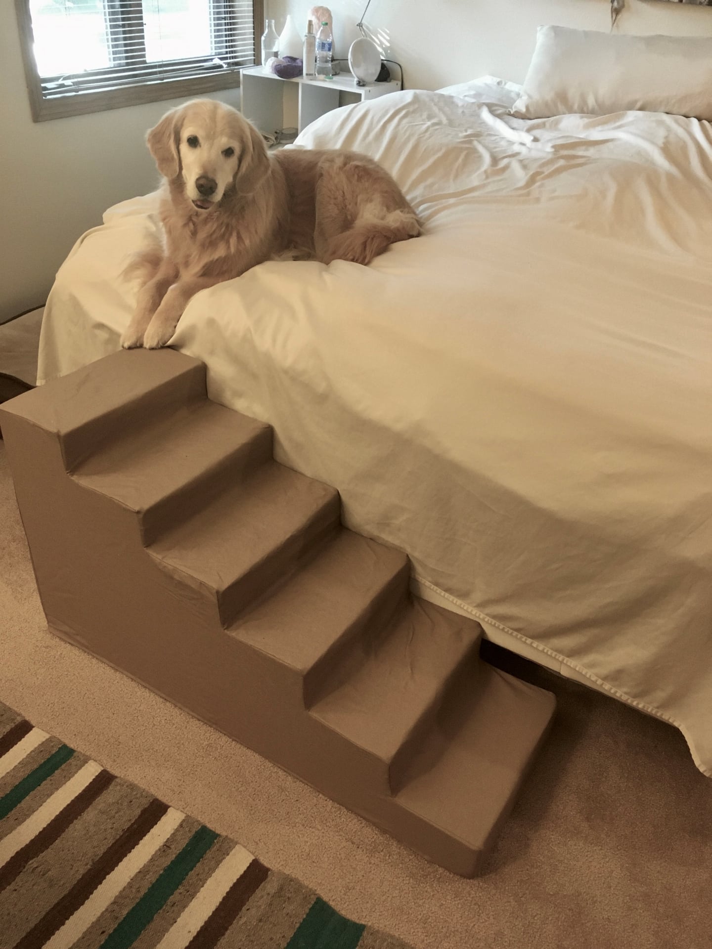 images Pet Staircase